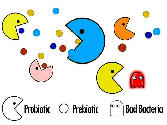 Пребиотики и пробиотики – в чем разница